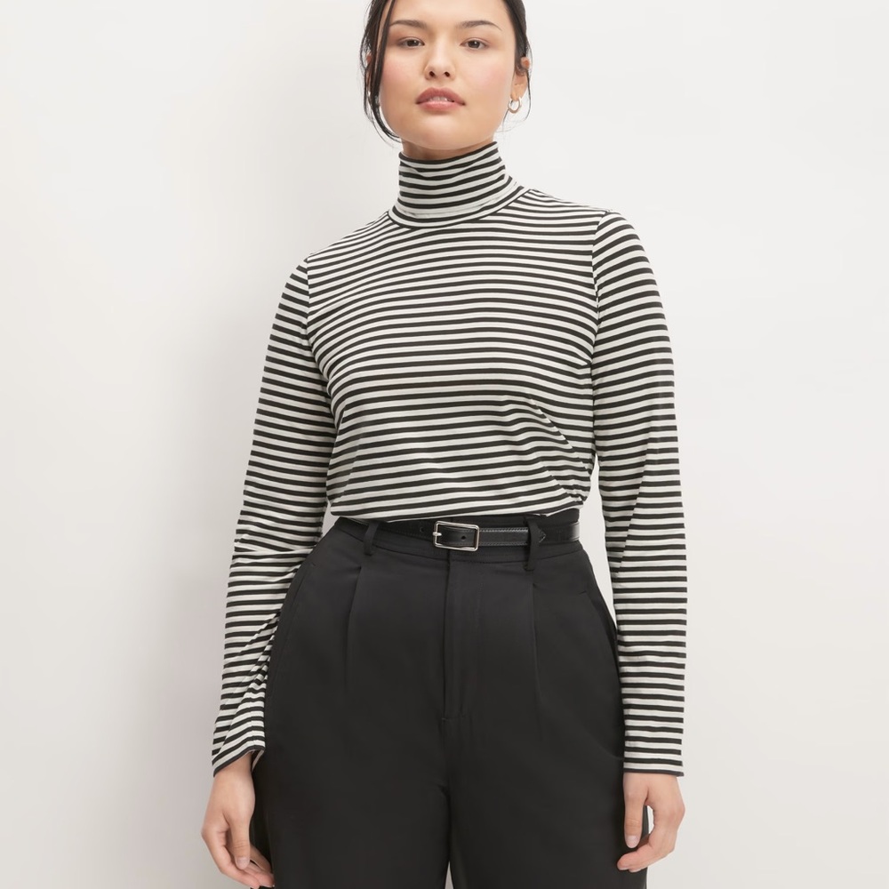Everlane Organic Cotton Turtleneck